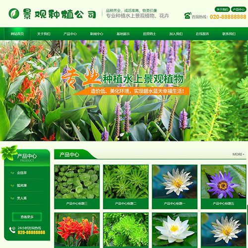 花卉类网页设计
